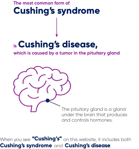 The most common form of Cushing’s syndrome is Cushing’s disease, which is caused by a tumor in the pituitary gland (a gland under the brain that produces and controls hormones). When you see “Cushings’s” on this website, it includes both Cushing’s syndrome and Cushing’s disease.