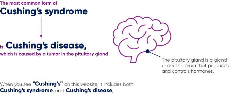 The most common form of Cushing’s syndrome is Cushing’s disease, which is caused by a tumor in the pituitary gland (a gland under the brain that produces and controls hormones). When you see “Cushings’s” on this website, it includes both Cushing’s syndrome and Cushing’s disease.