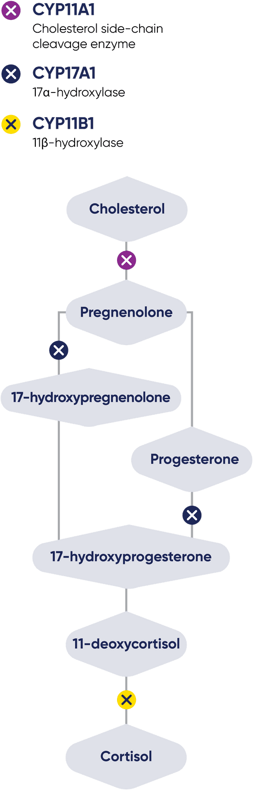 Recorlev® is a potent inhibitor of key adrenal steroidogenesis enzymes CYP11A1, CYP17A1, CYP11B1